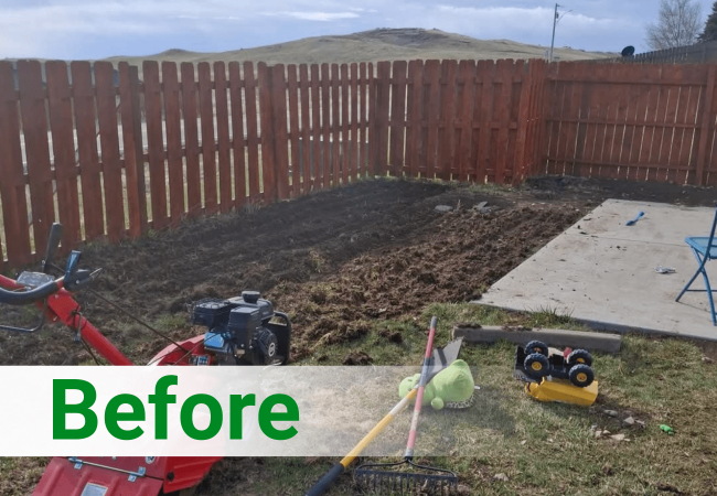 Backyard - Before