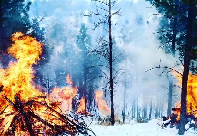 Fire Mitigation services being performed during the winter