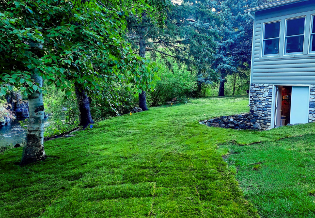 Freshly installed sod in residential backyard in Rapid City