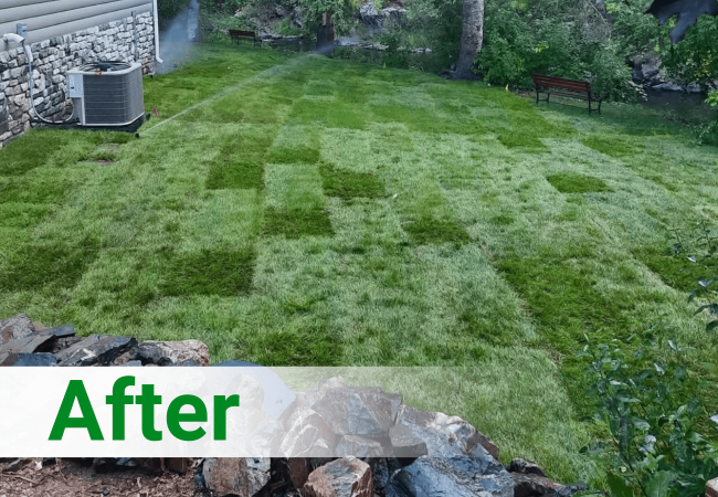 Sod - After